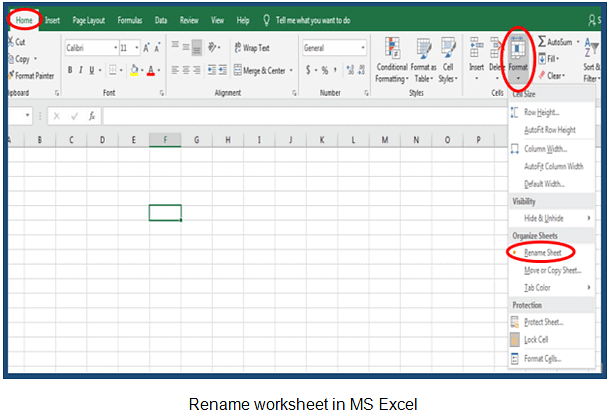 Link Data & Spreadsheets | Information Technology for Class 10