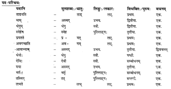 अनुवाद - गोदोहनम् | Chapter Explanation | संस्कृत कक्षा 9 (Sanskrit Class 9)