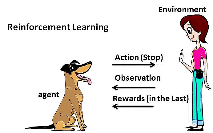 Neural Network | Artificial Intelligence for Class 10