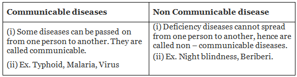 Subjective Type Questions