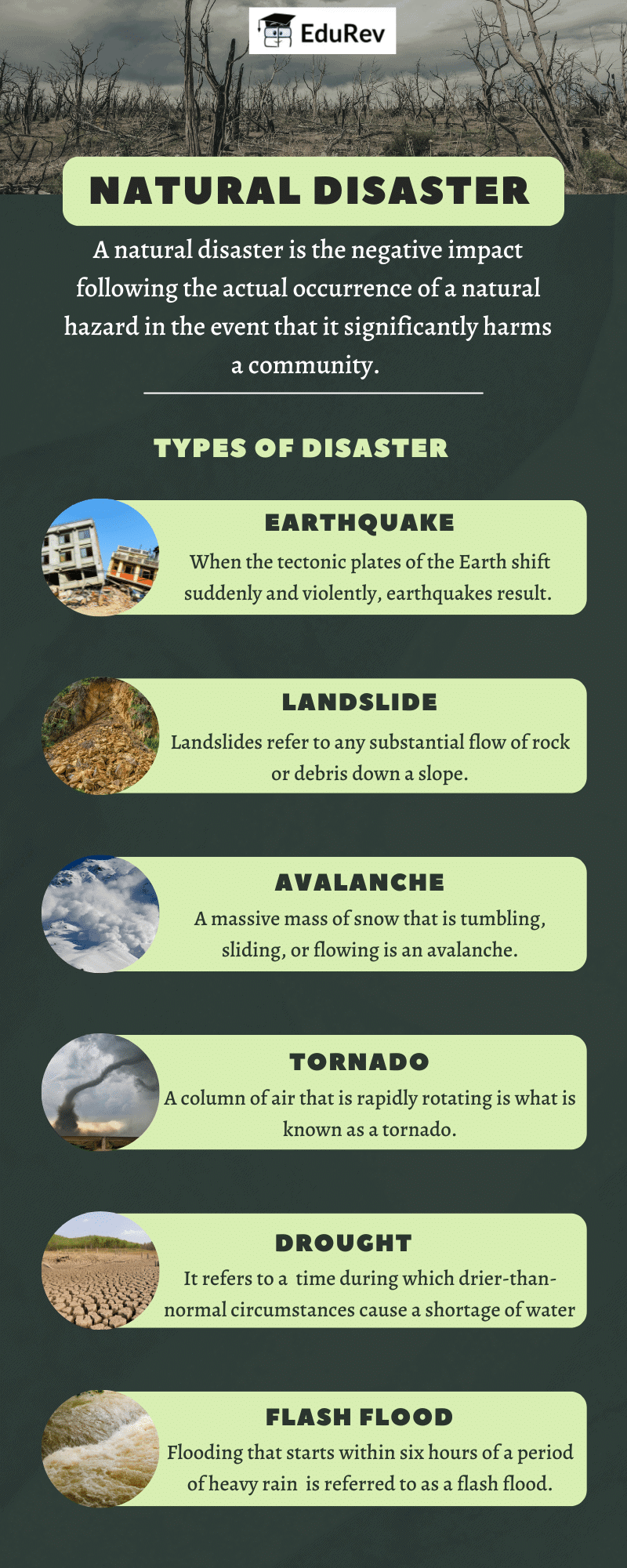 Infographics: Natural Calamities | Science Class 5