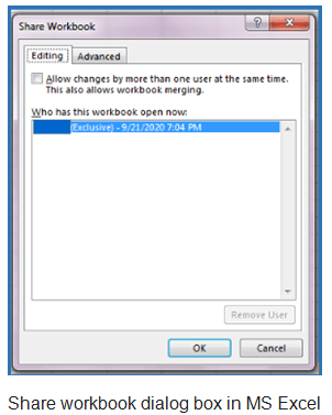 Share & Review a Spreadsheet | Information Technology for Class 10