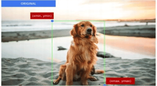 Data Literacy Chapter Notes | Artificial Intelligence (AI) for Class 9