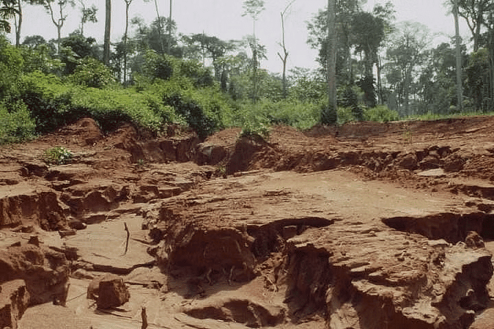 Soil Erosion and Conservation Class 5 Notes Science