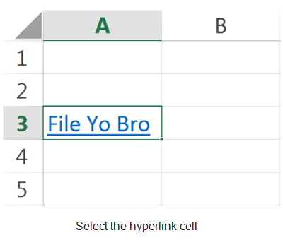 Link Data & Spreadsheets | Information Technology for Class 10