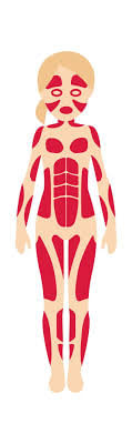 Worksheet: Skeletal & Muscular System - 2 | Science Class 5