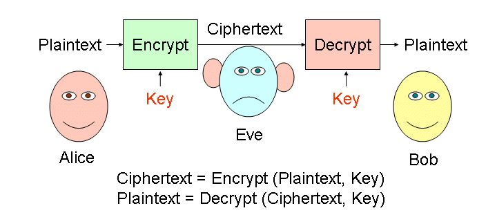 Cyber Ethics: Short Answer Type Questions | Computer Application: Class 10