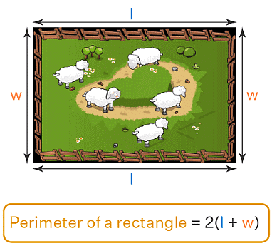 Olympiad Notes: Geometrical Shapes and Solids | Math Olympiad for Class 5