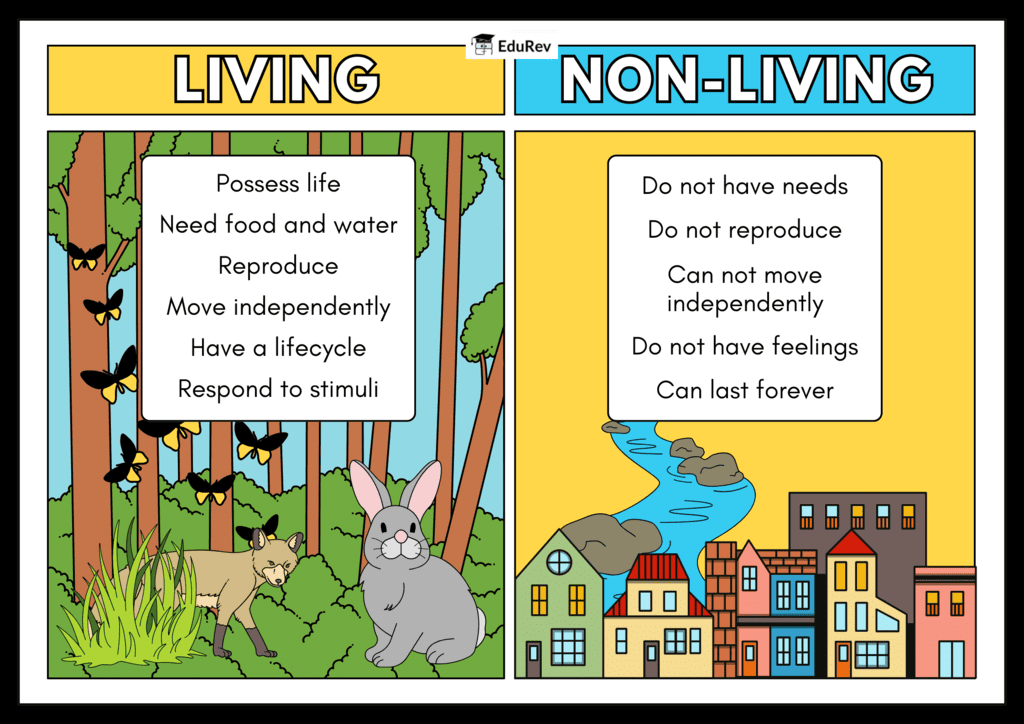 Infographics: Living and Non-Living Things | Science Class 5