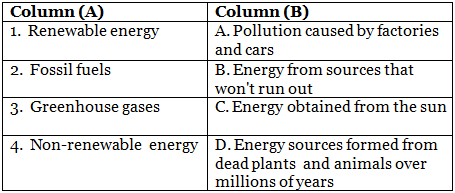 Class 5 Science - Our Environment - CBSE Worksheets - 2