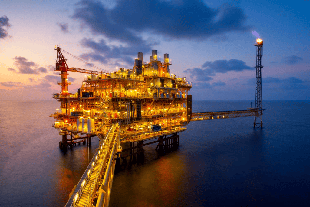 Coal and Petroleum Class 8 Notes Science Chapter 3