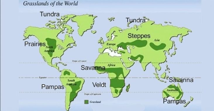 Climatic Regions of the World | Geography for UPSC CSE