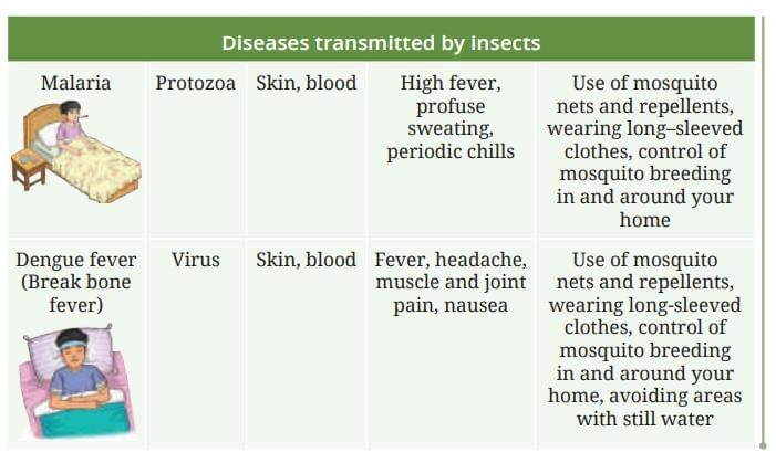 NCERT Based Activity: Health: The Ultimate Treasure | Science Curiosity Class 8 -  New NCERT