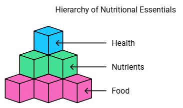 Key Concepts: Food - Where does it Come from? | Advance Learner Course: Science Class 5