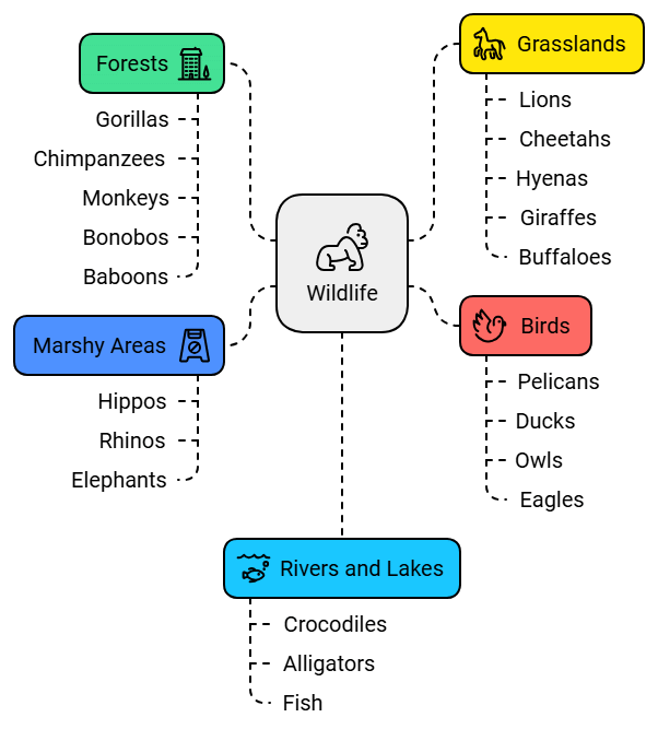The Land of Dense Forests: Congo Class 5 Notes SST