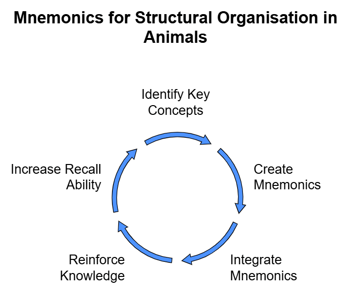 Mnemonics: Structural Organisation in Animals - Biology Class 11 - NEET ...