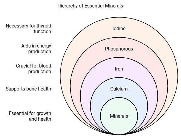 NCERT Summary: Components of Food | Class 6 All Subjects (Old NCERT)