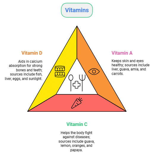 NCERT Summary: Components of Food | Class 6 All Subjects (Old NCERT)
