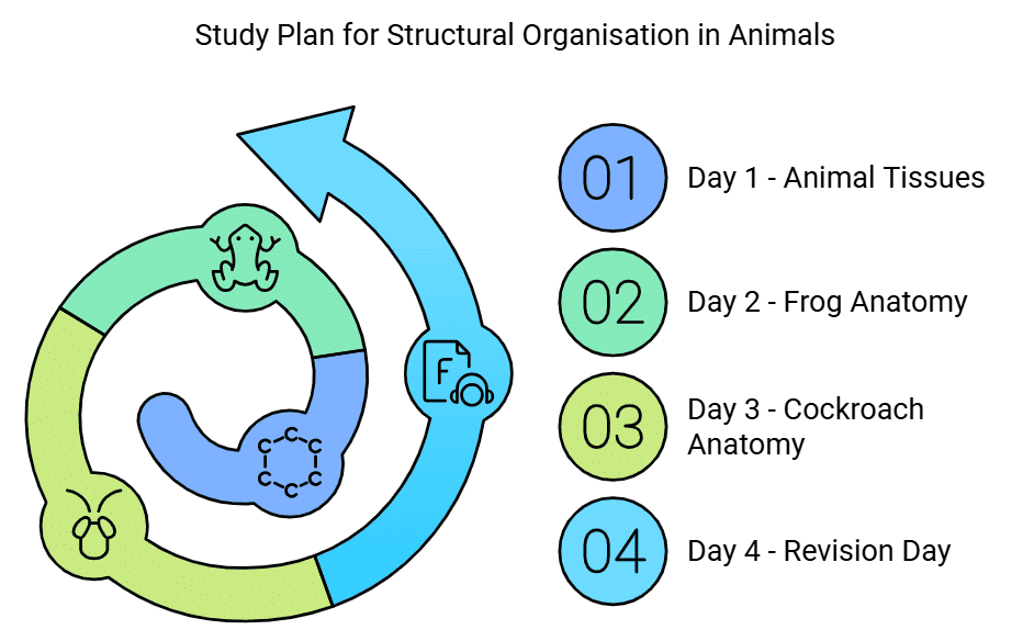 4 Days Study Plan: Structural Organization in Animals | Biology Class 11 - NEET