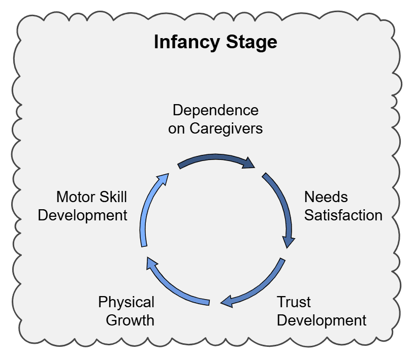 Notes: Concept of Development & Its Relationship with Learning | Child Development and Pedagogy for CTET Preparation - CTET & State TET