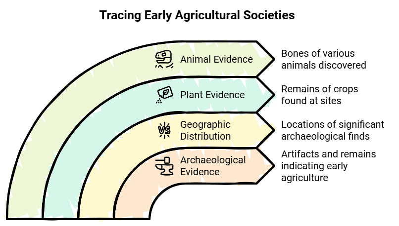 From Hunting-Gathering to Growing Food Summary Class 6 Social Science Chapter 2