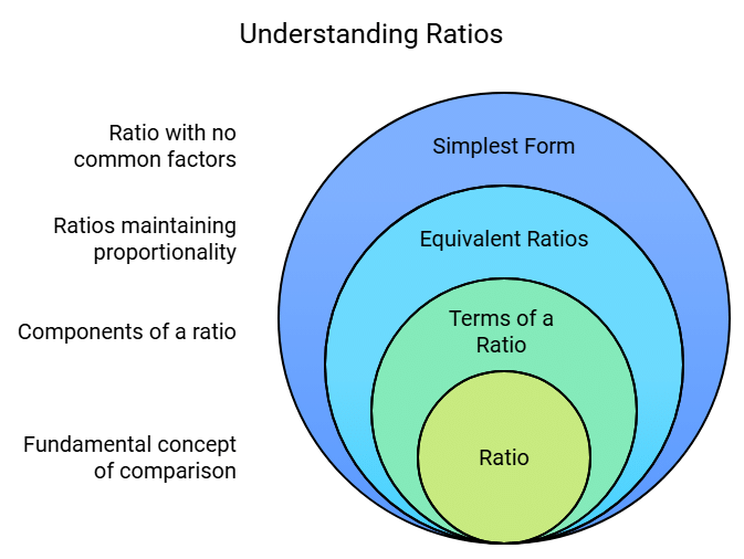 Ratio and Proportion Summary Class 6 Maths Chapter 12