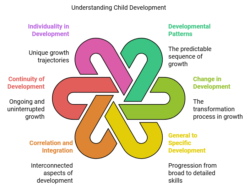 Notes: Principles of Child Development | Child Development and Pedagogy for CTET Preparation - CTET & State TET