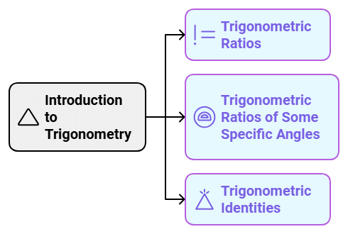 4 Days Timetable: Introduction to Trigonometry | Mathematics (Maths) Class 10