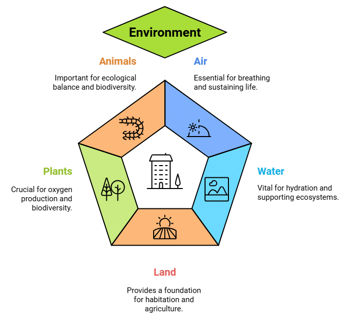 Earth and Environment | Social Science Olympiad Class 4