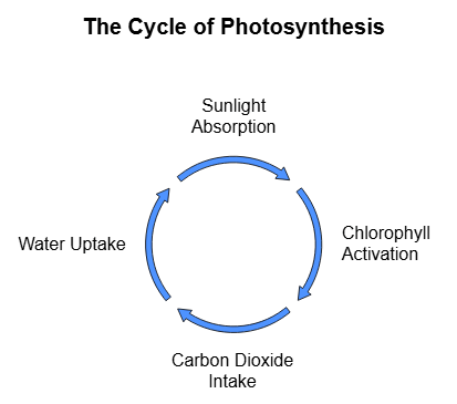 Short Notes: Nutrition in plants | Science Class 7 (Old NCERT)