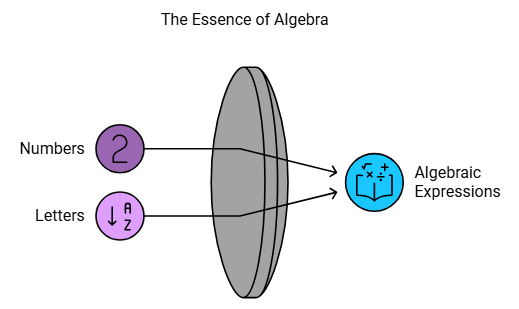 Algebra Summary Class 6 Maths Chapter 11