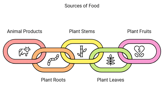 NCERT Summary: Food - Where does it come from | Science for Grade 6
