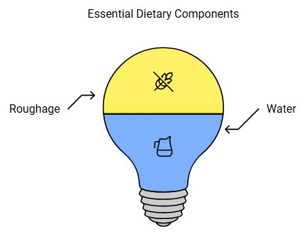 NCERT Summary: Components of Food | Class 6 All Subjects (Old NCERT)