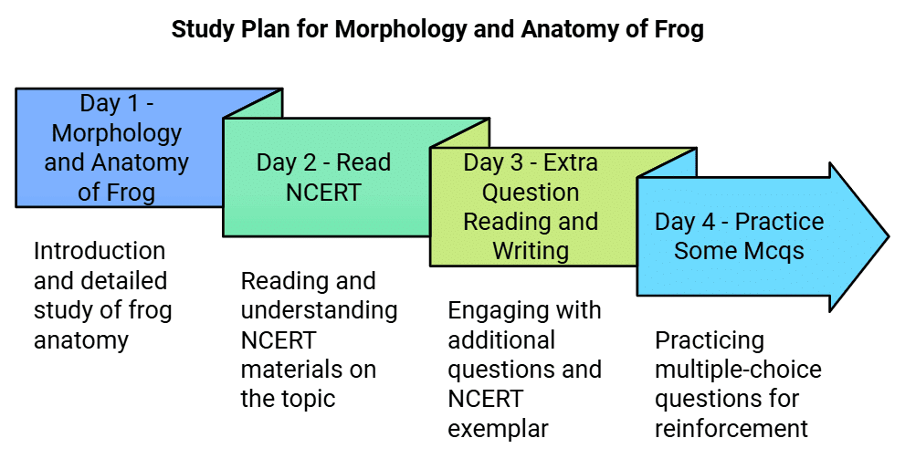 4 Days Study Plan: Structural Organization in Animals | Biology Class 11 - NEET