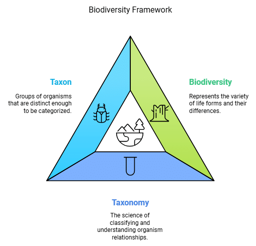 Notes: Living World | Science & Pedagogy Paper 2 for CTET & TET Exams - CTET & State TET