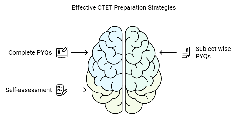 What do You get under EduRev Infinity Package for CTET? | CTET के लिए कैसे अध्ययन करें ? - CTET & State TET