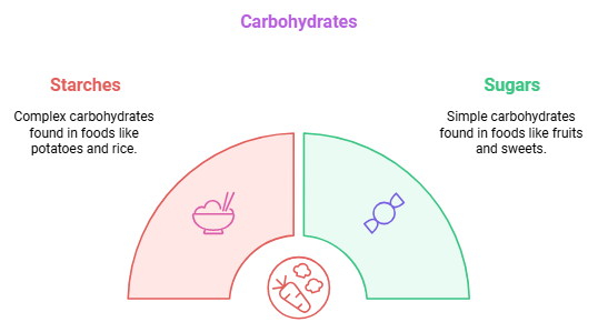 NCERT Summary: Components of Food | Class 6 All Subjects (Old NCERT)