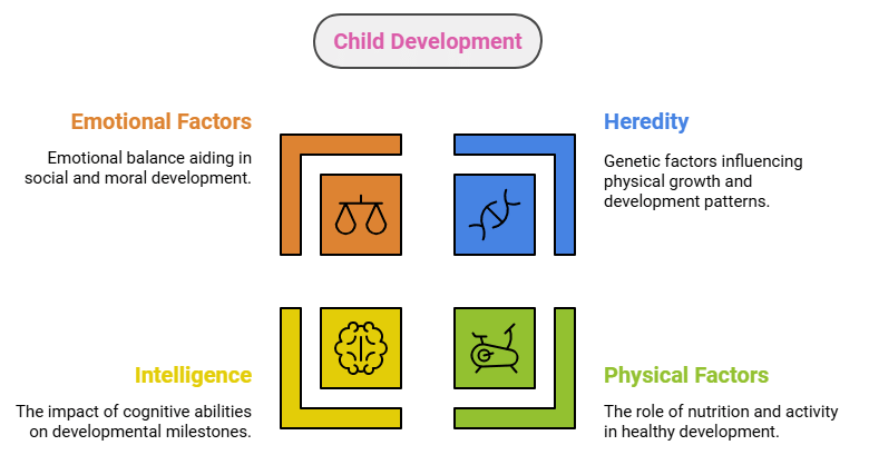 Notes: Principles of Child Development | Child Development and Pedagogy for CTET Preparation - CTET & State TET