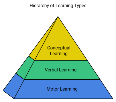 Notes: Learning & Acquisition | English Language & Pedagogy for CTET & TET Exams - CTET & State TET