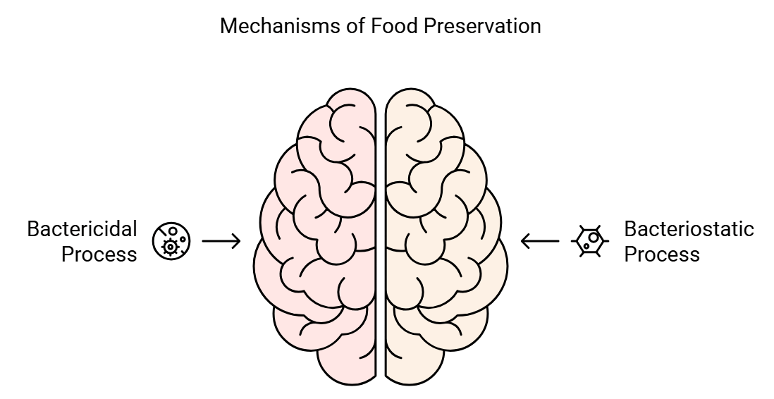 Food Preservation