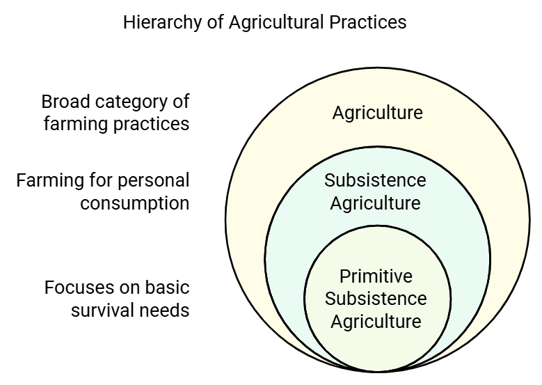Primary Activities Hunting And Gathering Class 12 Geography