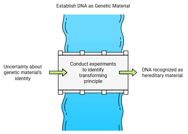 Molecular Basis of Inheritance Chapter Notes | Biology Class 12 - NEET