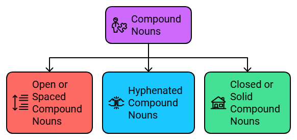 Class 10 English Grammar - Noun its Classifications Part 1