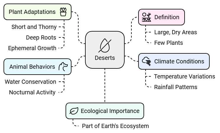 The Land of Sand: Saudi Arabia Class 5 Notes SST