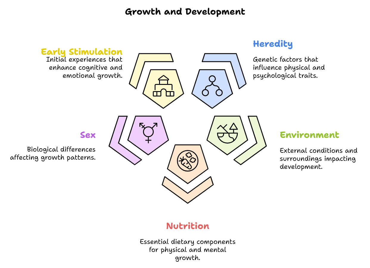 Notes: Concept of Development & Its Relationship with Learning | Child Development and Pedagogy for CTET Preparation - CTET & State TET