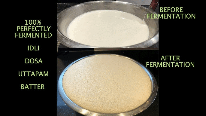 Microbes in Household Products | Biology Class 12 - NEET