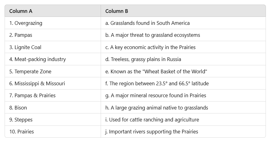 The Temperate Grasslands: Prairies - 2 Class 5 Worksheet SST