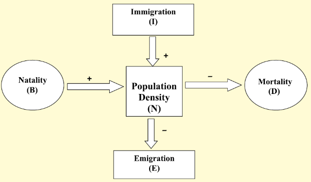 Population Density Key Processes