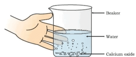 NCERT Based Activity : Chemical Reactions and Equations | Science Class 10