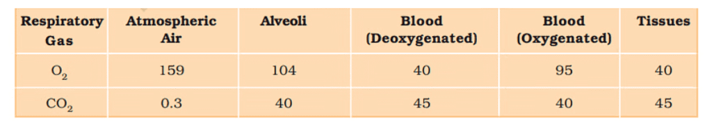 Important Diagrams: Breathing and Exchange of gases | Biology Class 11 - NEET